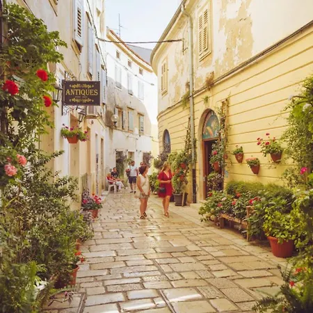 Bijela Uvala - Roan Campsite *